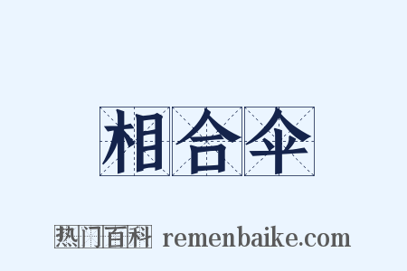 相合伞是什么意思的图片